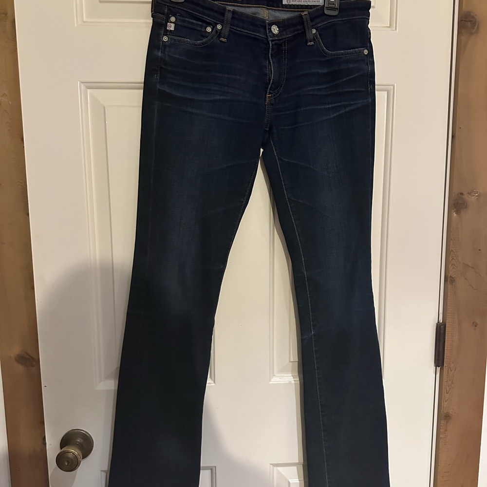 AG Adriano Goldschmied size 29R